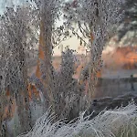 Up'n Doerp Appartement *