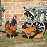 Appartement Up'n Doerp