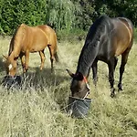 Up'n Doerp Appartement Plattenburg