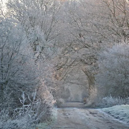 Up'n Doerp * Plattenburg