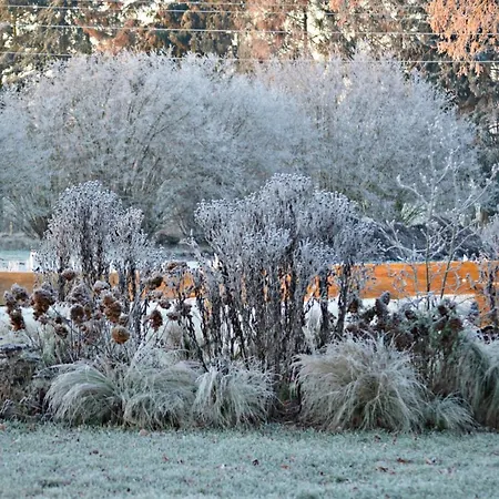 Up'n Doerp Apartman *