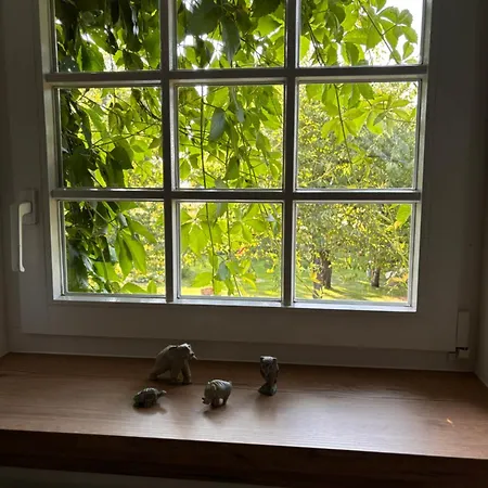 Apartament Up'n Doerp *