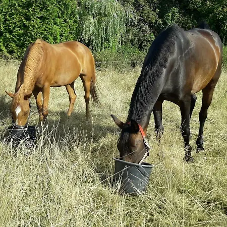 Up'n Doerp Apartman Plattenburg