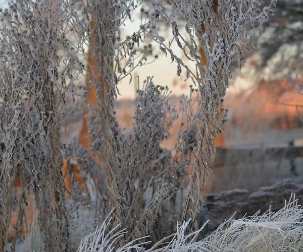 Up'n Doerp Appartement *