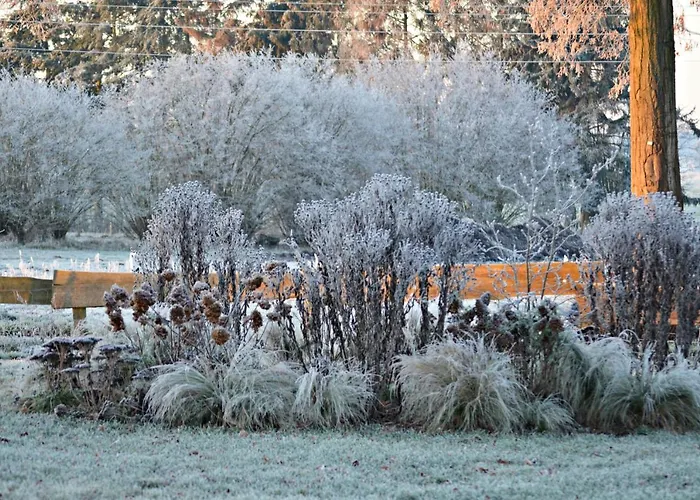 Up'n Doerp Appartement *