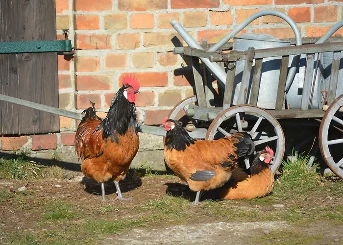 Appartement Up'n Doerp