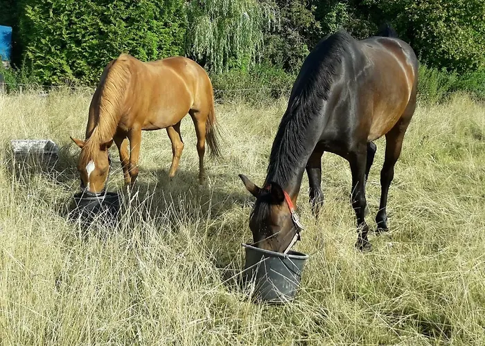Up'n Doerp Appartement Plattenburg