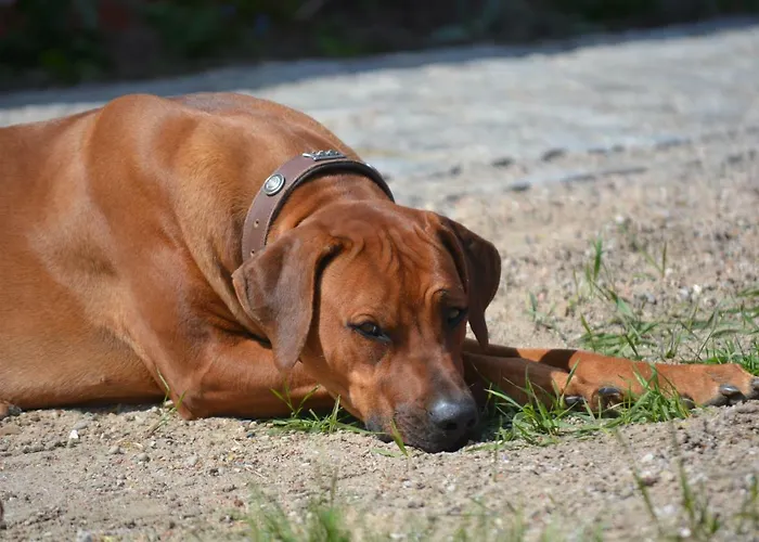 Up'n Doerp * Plattenburg